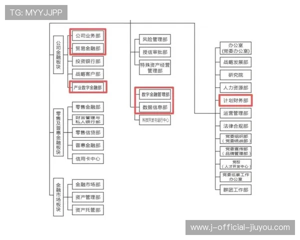 新闻中心全面解读高层管理结构调整持续优化用户体验，高层管理组织结构图